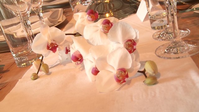 Orchidee als Tischdekoration