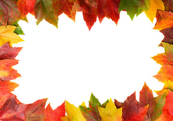 cadre de feuilles d'automne