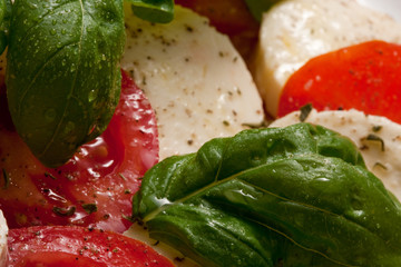 Mozarella & Tomate