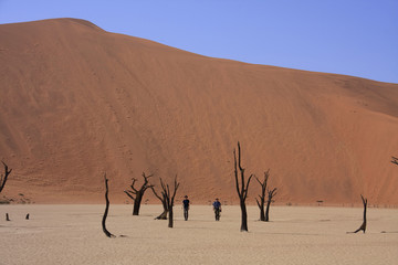 Sossusvlei Dune National park