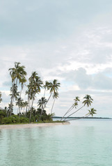 Remote island, palm trees, turquoise sea and sandy beach