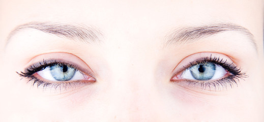 Obraz premium picture of magnificent woman's eyes