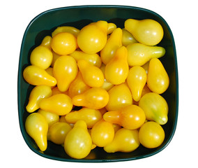 Yellow Tomatoes in Sunlight