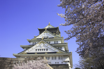 大阪城の桜