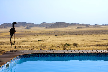 The swimming pool overloking the desert