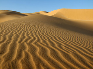 Windrippel
