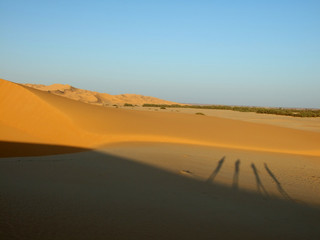 Fototapeta na wymiar Schatten in der Wüste