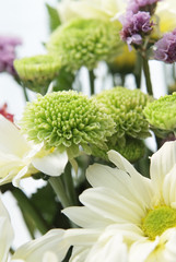 festive background of summer flowers with chrysanthemum