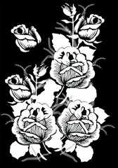 contour de roses blanches