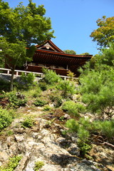 Fototapeta na wymiar Un temple dans les montagnes japonaises