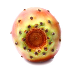 fruit of cactus