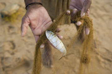 Fischfang in Indien