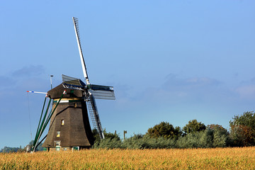 Fototapeta premium Windmill