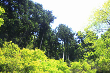 赤目四十八滝渓谷