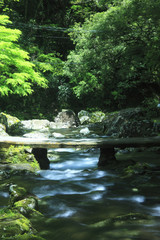 赤目四十八滝渓谷