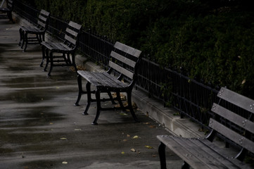 Fototapeta premium PArk Bench