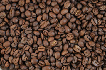 coffee beans close up