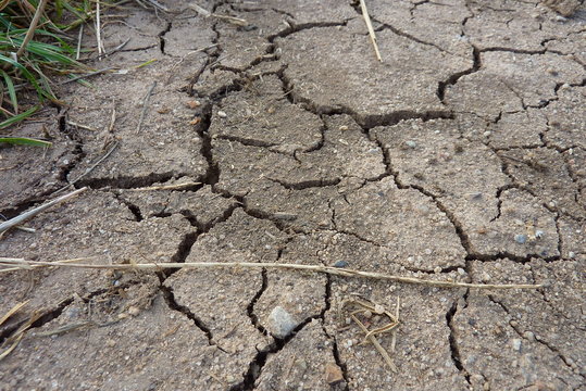 Trockenheit