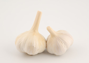 Garlic Bulb