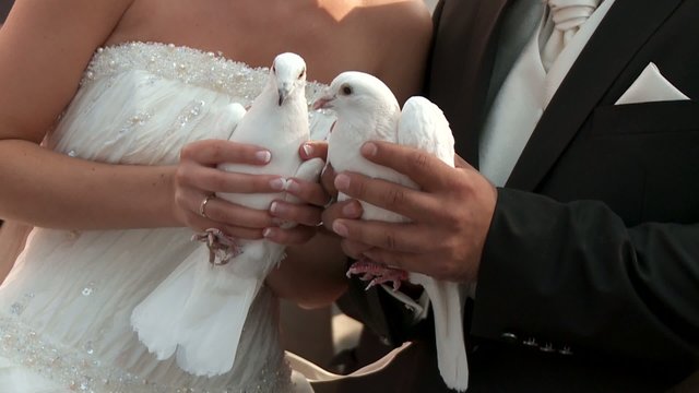 Brautpaar mit Tauben