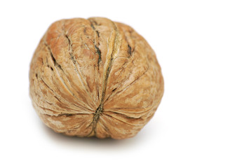 walnut