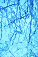 シュレッダーされた紙くず