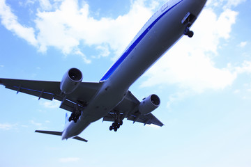 飛行機