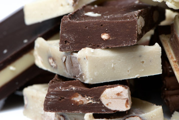 succulent chocolate  close-up isolated macro