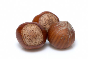 Hazelnut, macro a on white Background
