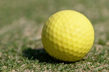 Golf Ball on the Green Grass with green background