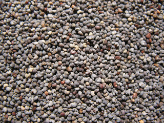 Poppy seeds