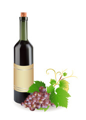 grape and bottle of wine