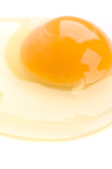chiken egg