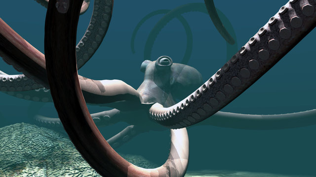 Ein Octopus