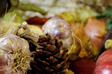 close-up with garlic