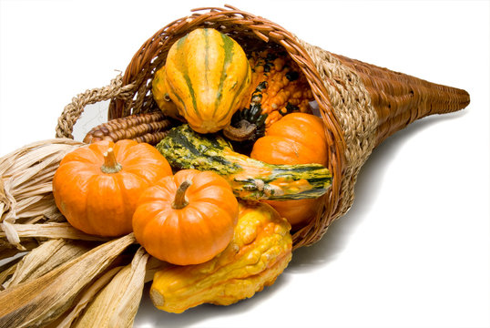Cornucopia