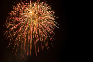 Obraz premium Special fireworks