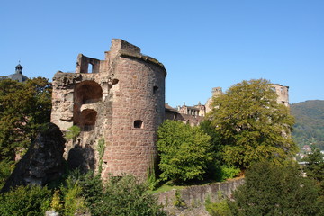 Fototapeta na wymiar Turmruine des Heidelberger Schlosses