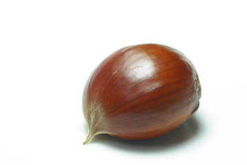 栗のクローズアップ