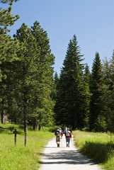 Fototapeta premium Harney Peak Trail