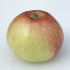 Fiesers Erstling; falsche Goldparmaene