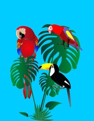 Perroquets et toscans assis dans une forêt tropicale..