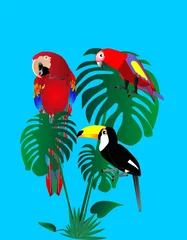 Fotobehang Papegaaien en Toscaanse zitten in een regenwoud.. © Dee