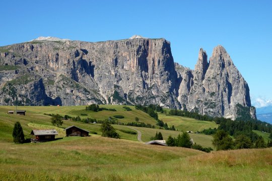 sciliar
