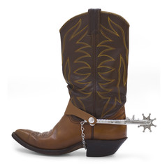 Cowboy Boot - 17391735