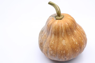 Pumpkin / 南瓜