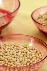 soya bean