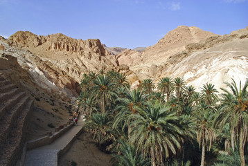 Paysage du Sud Tunisien