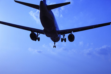 飛行機