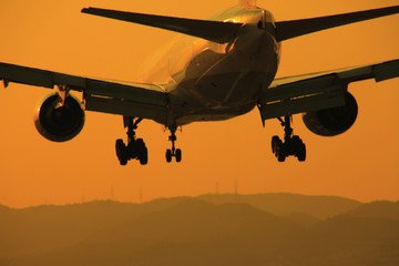飛行機